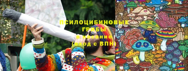 прущие крисы Абинск