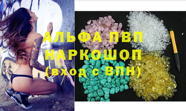 сатива Абаза